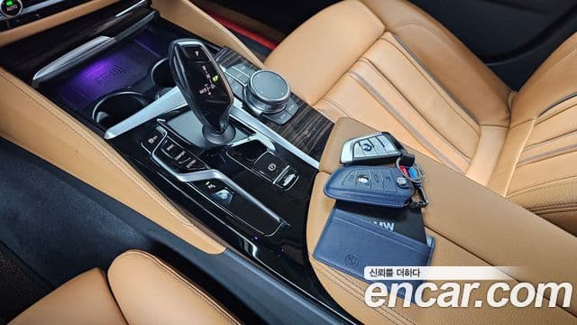 BMW 5시리즈 (G30) Luxury, 2023 9