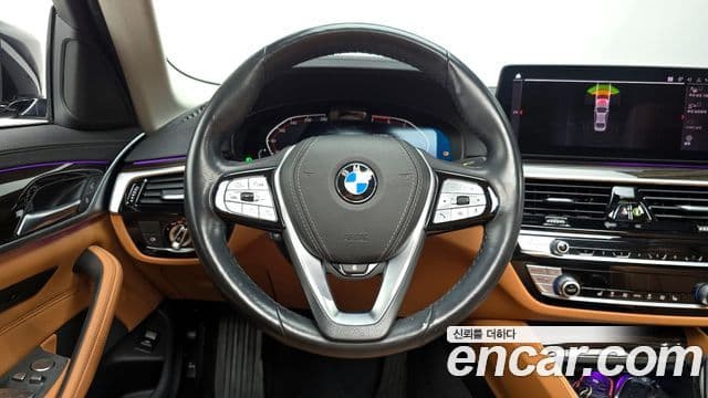 BMW 5시리즈 (G30) Luxury, 2021 13
