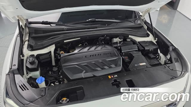 Hyundai Santa Fe TM Prestige, 2019 6