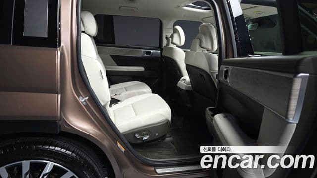 Hyundai Santa Fe (MX5) Calligraphy, 2024 12