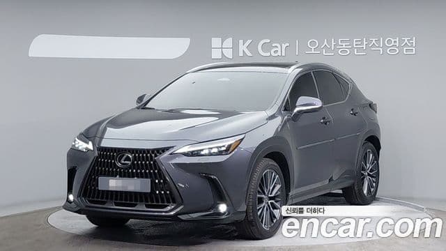 Lexus NX350h 2세대 Luxury, 2024 1
