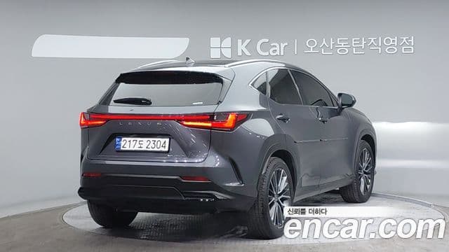 Lexus NX350h 2세대 Luxury, 2024 2