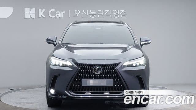 Lexus NX350h 2세대 Luxury, 2024 3