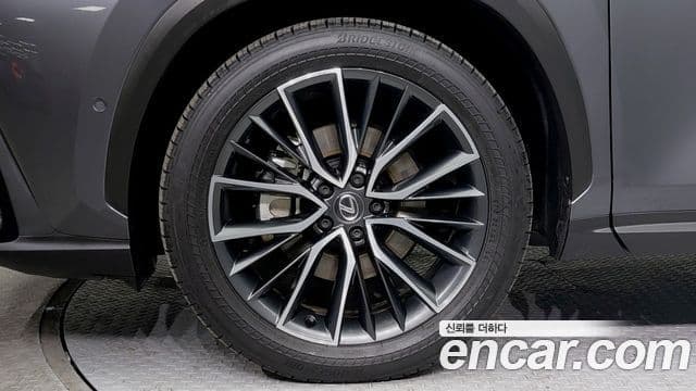 Lexus NX350h 2세대 Luxury, 2024 все фото