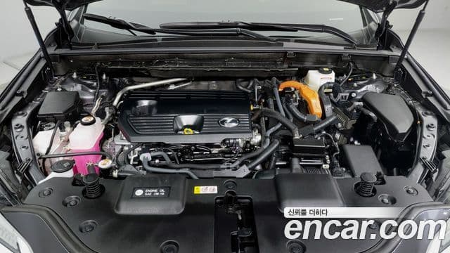 Lexus NX350h 2세대 Luxury, 2024 6