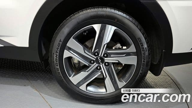 Kia Sorento 4세대 Noblesse, 2023 все фото