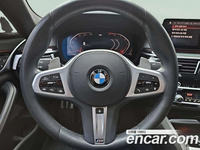 BMW 5시리즈 (G30) 530i M Sport Plus, 2020 15