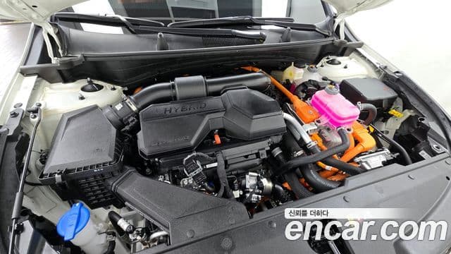 Kia Sportage 5세대 гибрид Signature 2WD, 2024 6