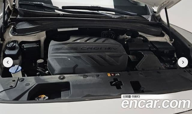 Hyundai Santa Fe TM Prestige, 2019 все фото