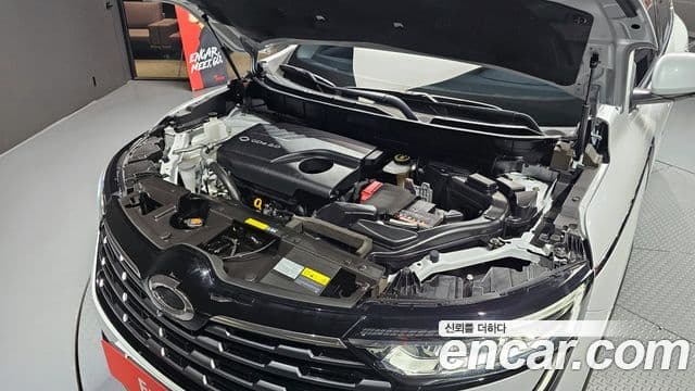 Renault Korea(Samsung) The / новый New QM6 2.0 GDe RE 2WD, 2024 6