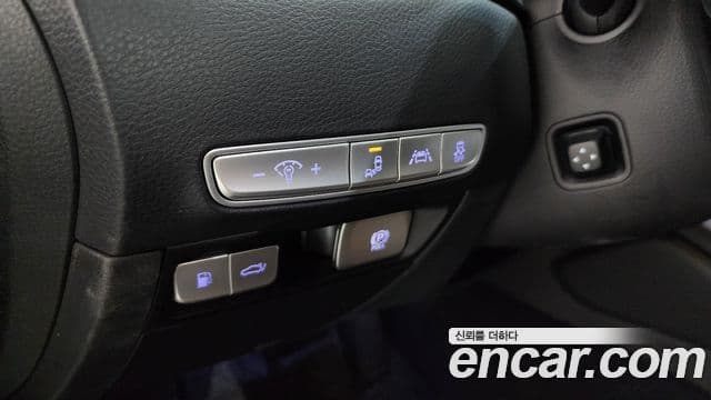 Kia The / новый K9 PlatinumⅢ, 2020 14