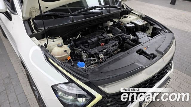 Kia Sportage 5세대 Signature, 2022 6