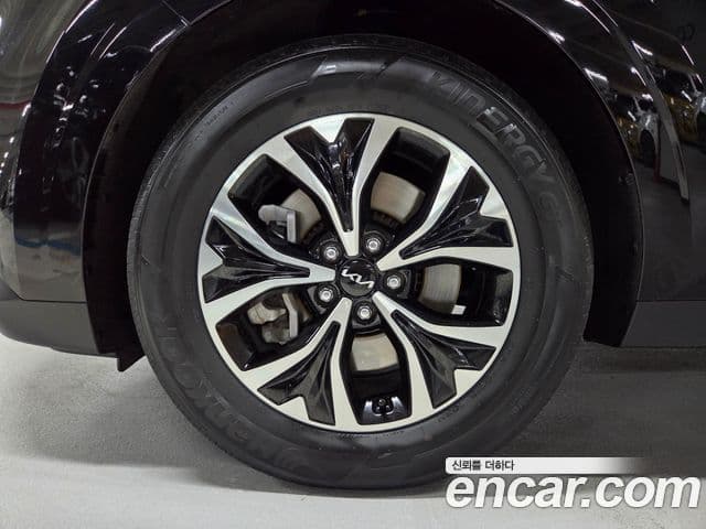 Kia Carnival 4세대 Noblesse, 2023 все фото