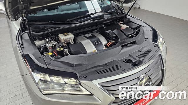 Lexus RX450h 4세대 Executive, 2019 6