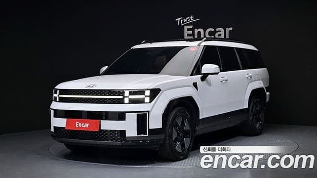 Hyundai Santa Fe (MX5) Calligraphy, 2024 1