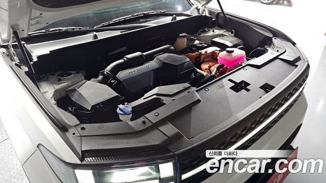 Hyundai Santa Fe (MX5) Calligraphy, 2024 6