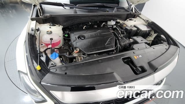 Kia Sportage 5세대 Prestige, 2023 14