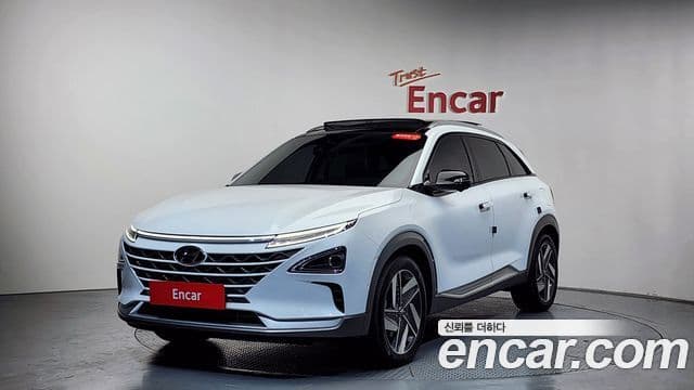 Hyundai NEXO Premium, 2022 11