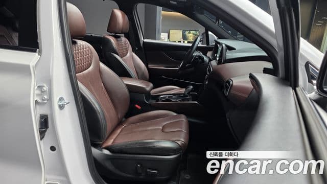 Hyundai Santa Fe TM Inspiration, 2019 11