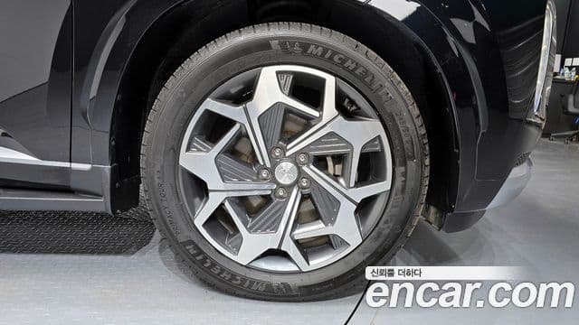 Hyundai Palisade Calligraphy, 2021 все фото