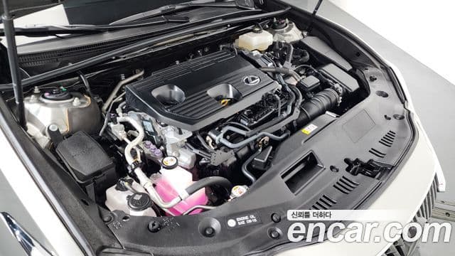 Lexus ES300h 7세대 Executive, 2025 6