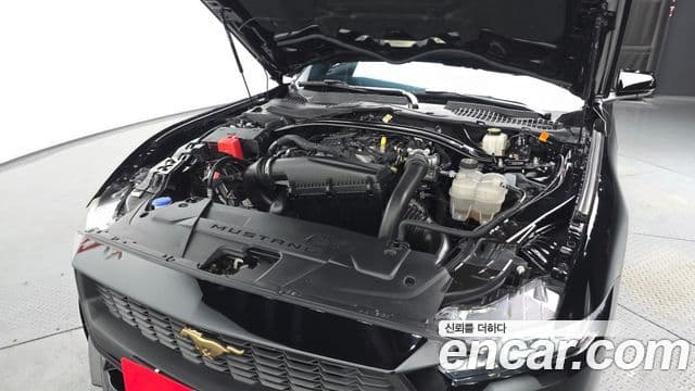 Ford Mustang 7세대 2.3 EcoBoost Premium купе, 2024 6