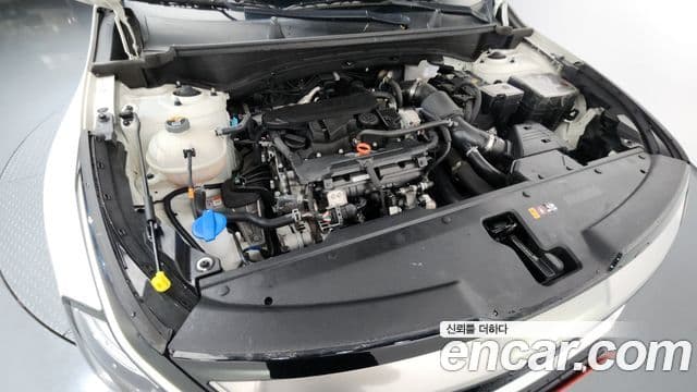 Kia Sportage 5세대 Signature, 2024 6