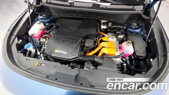 Kia D All New Niro Prestige, 2024 6