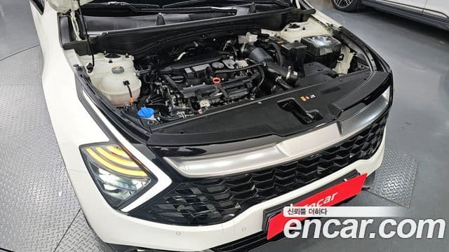 Kia Sportage 5세대 Signature, 2023 6