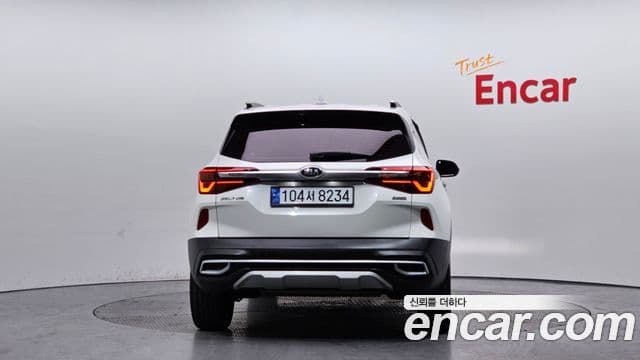 Kia Seltos Noblesse, 2020 4