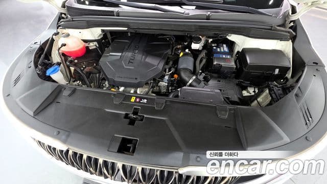 Kia Carnival 4세대 Prestige, 2021 6