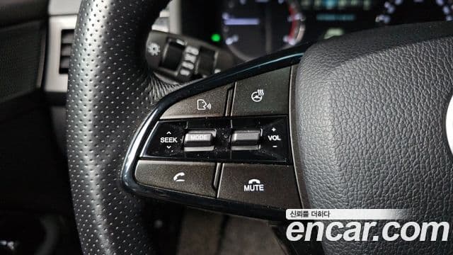 KG모빌리티(SsangYong) G4 Rexton Heritage, 2020 18