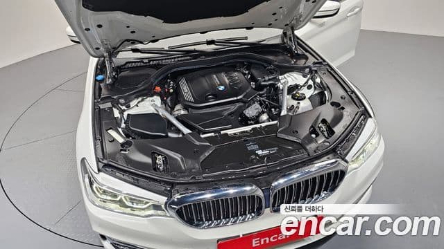 BMW 5시리즈 (G30) 520d Luxury Plus, 2020 6