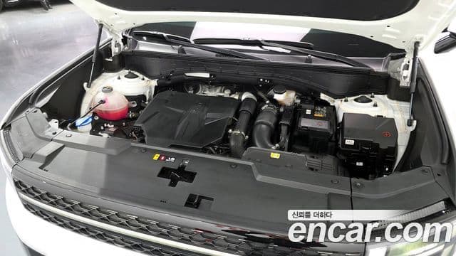 Hyundai Santa Fe (MX5) Calligraphy, 2024 6