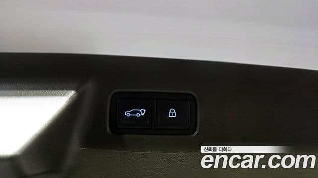 Hyundai Santa Fe (MX5) Calligraphy, 2024 20