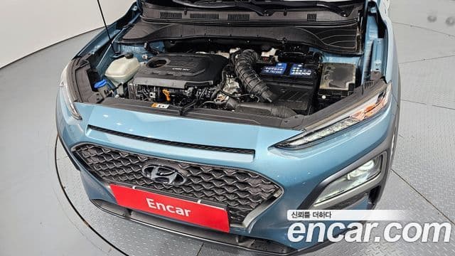 Hyundai Kona Modern Art, 2019 6