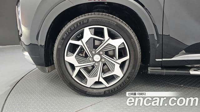 Hyundai Palisade Calligraphy, 2021 все фото