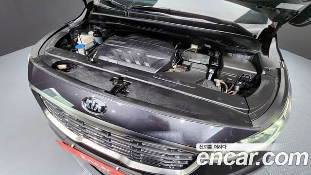 Kia The / новый New Carnival VIP, 2019 6