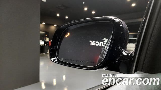 Kia The / новый New Carnival VIP, 2019 13