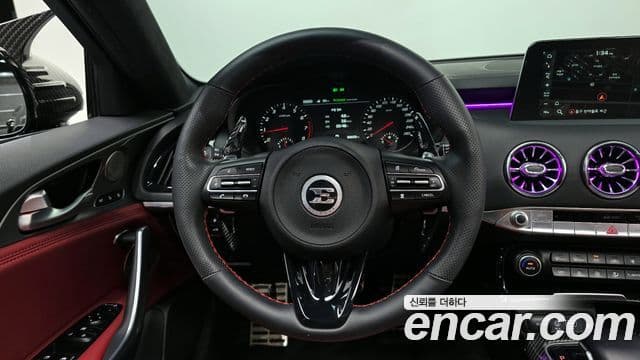Kia 스팅어 Platinum, 2020 13
