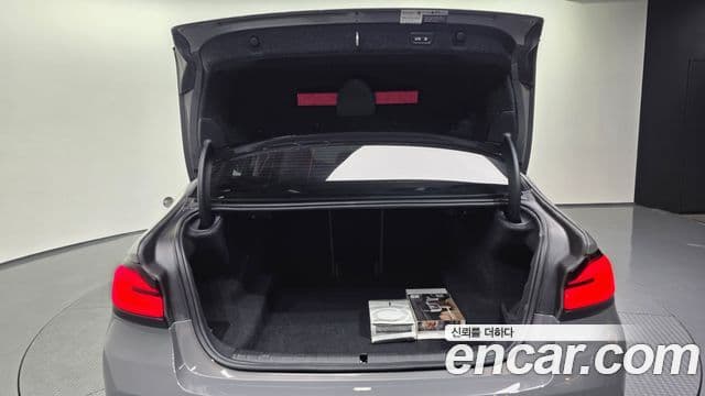 BMW 5시리즈 (G30) Luxury, 2021 20
