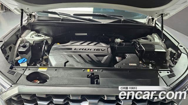 Hyundai Palisade Prestige, 2019 6