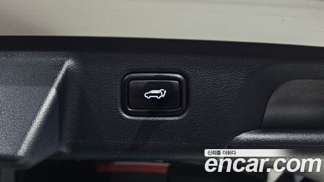 Hyundai Palisade Prestige, 2019 18