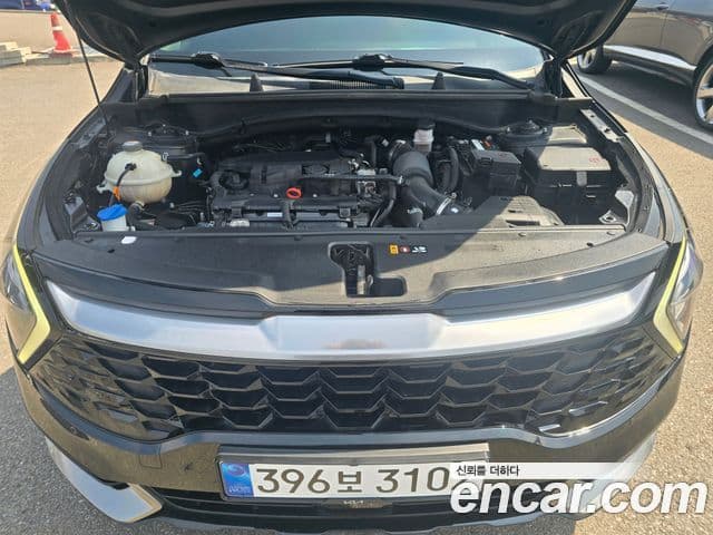 Kia Sportage 5세대 Noblesse, 2022 10