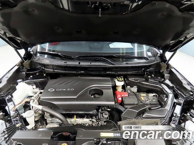 Renault Korea(Samsung) The / новый New QM6 2.0 GDe RE 2WD, 2020 19