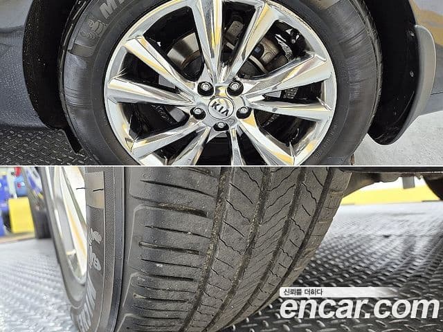 Kia The / новый New Carnival Noblesse, 2019 19