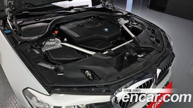 BMW 5시리즈 (G30) Luxury, 2020 6