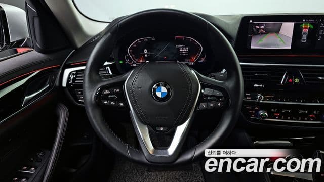 BMW 5시리즈 (G30) Luxury, 2020 13