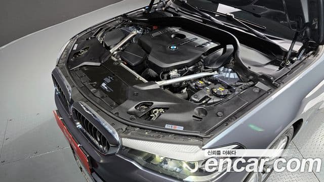 BMW 5시리즈 (G30) Luxury, 2019 6