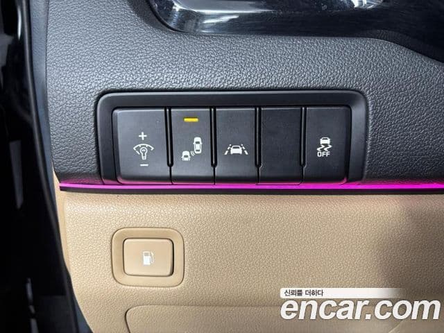 Kia The / новый New Carnival 9인승 High Limousine(компания по спецнадстройкам), 2019 16